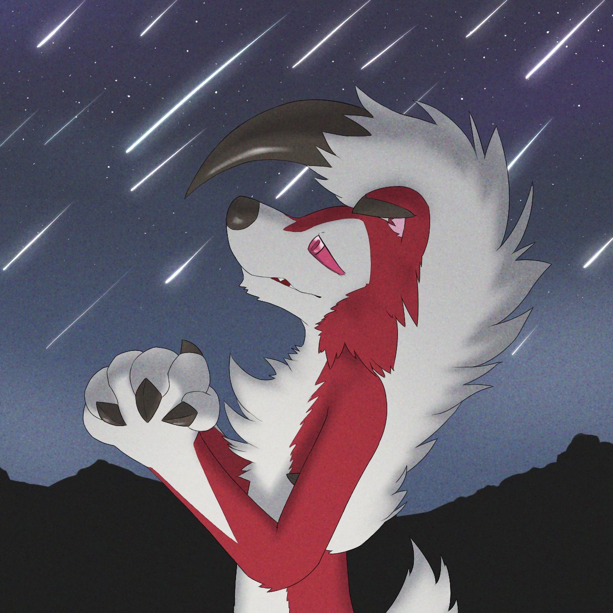 Wish upon a star