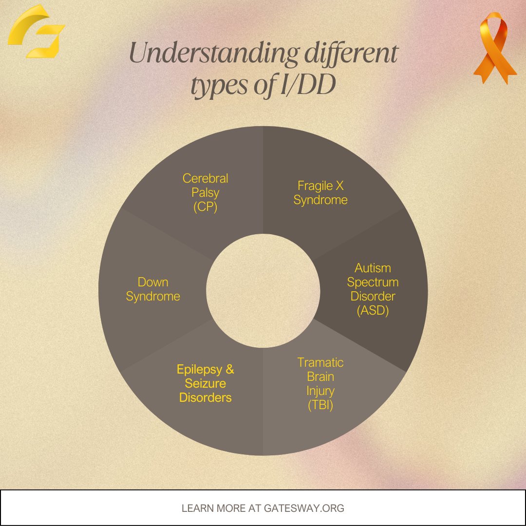 gatesway_ba's tweet photo. I/DD is DIVERSE! 🧩
Includes autism, Down syndrome, cerebral palsy, Fragile X, FASD & more.
Each person is unique! Diagnosis ≠ the person. We see strengths & dreams FIRST! 💙
#DDAM #IDD #Diversity #PersonFirst https://t.co/JGOhdgnFvk