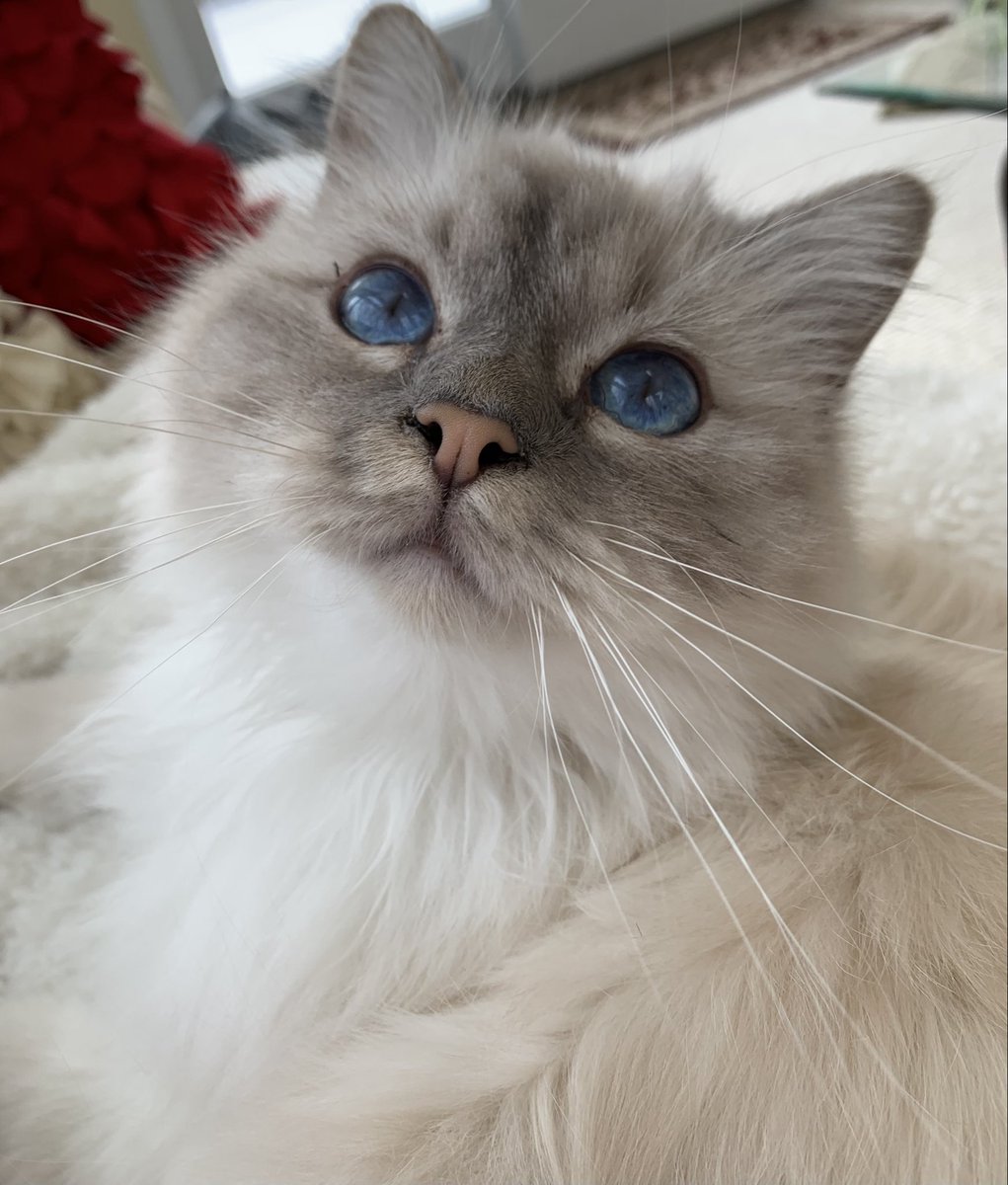 Elizabeth Griffith tweet media