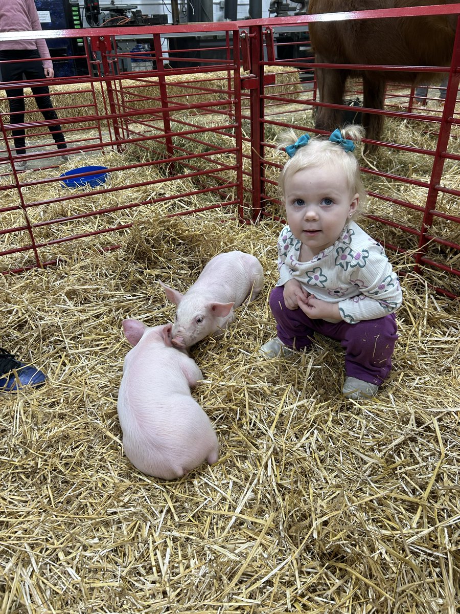 Fort Recovery FFA tweet media