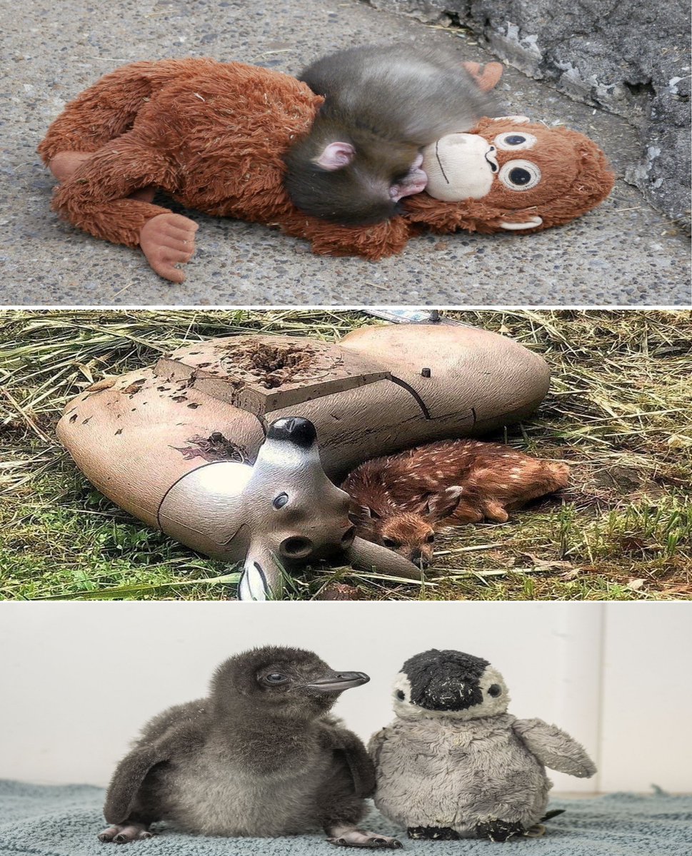 In the end, we all need love