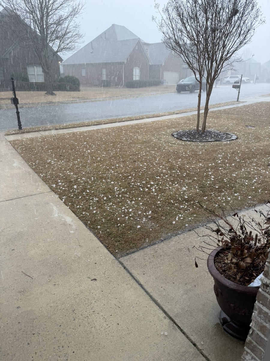 Jason Reed tweet media