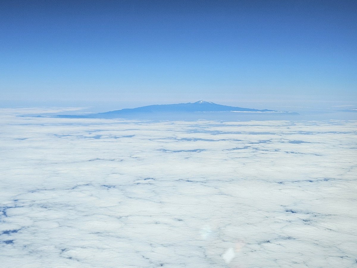 A Pilot's View tweet media