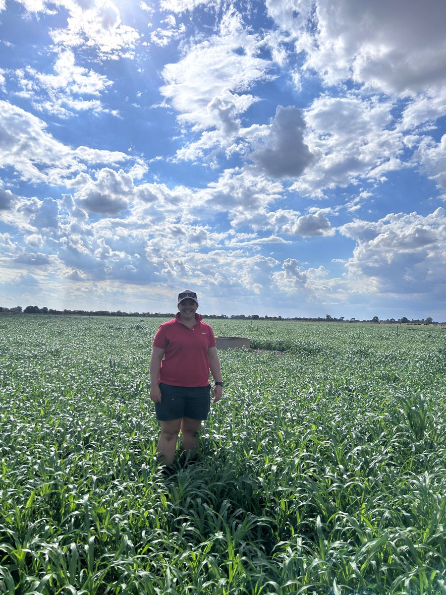 Dan Rolls tweet media