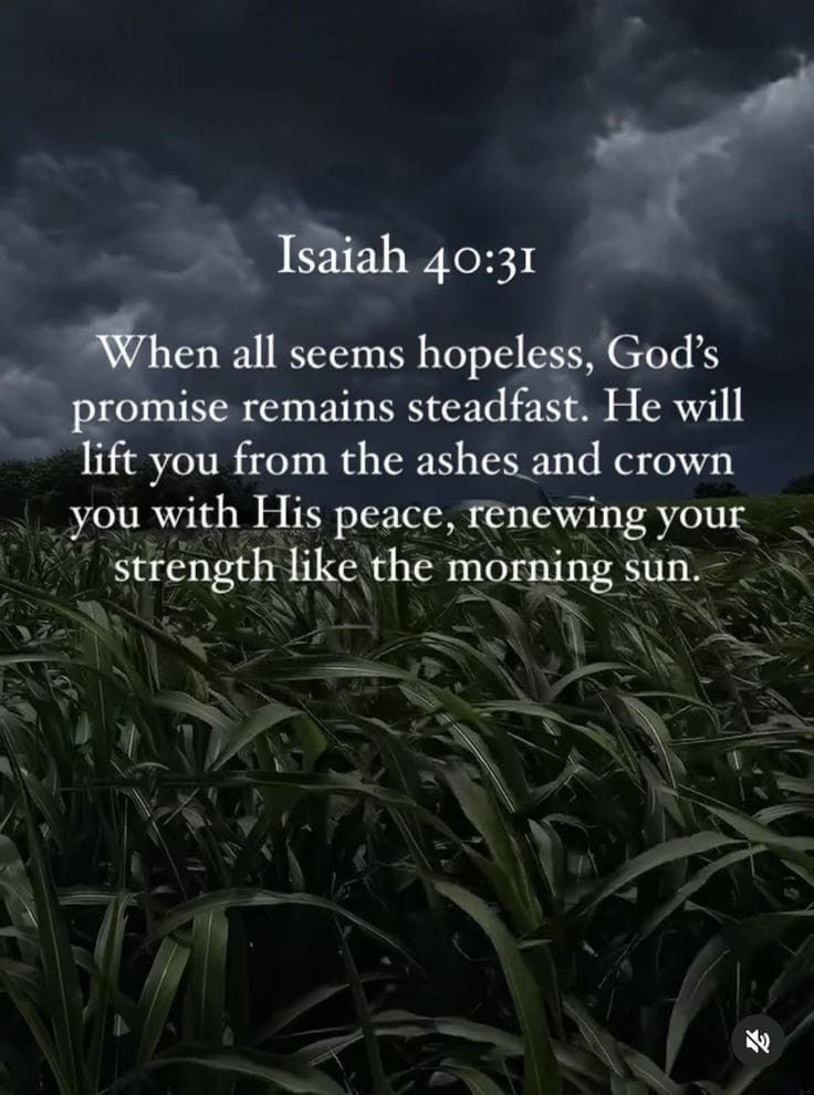 JesusChristsGod's tweet photo. Isaiah 40:31
31 but those who hope in the Lord
    will renew their strength.
They will soar on wings like eagles;
    they will run and not grow weary,
    they will walk and not be faint. https://t.co/ifEOQ3vw7o