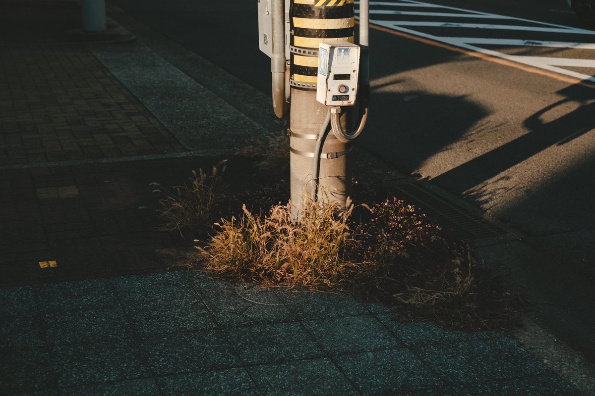 Etsuji Sato tweet media