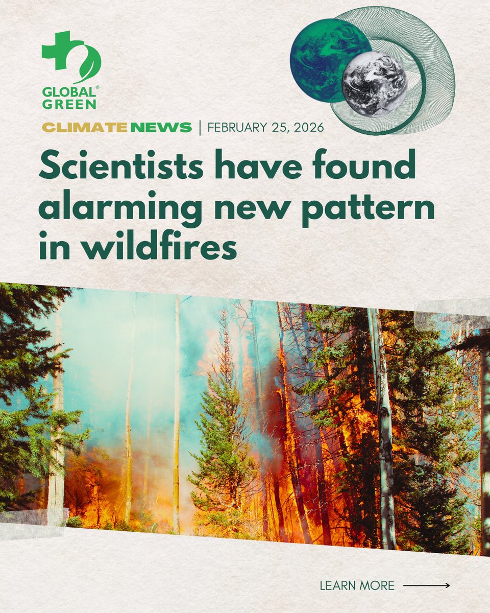 globalgreen's tweet photo. Wildfires aren’t just getting worse. They’re synching up and happening at the same time, stretching resources thin.

#ClimateNews #ClimateCrisis #Wildfires https://t.co/9EDJillzuJ