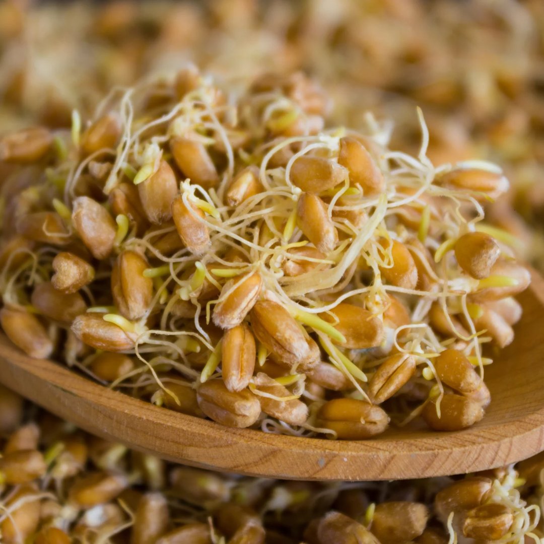 Davidson College Dining Services tweet media