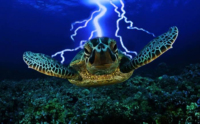 Blimble78🇩🇿🇵🇸 tweet media