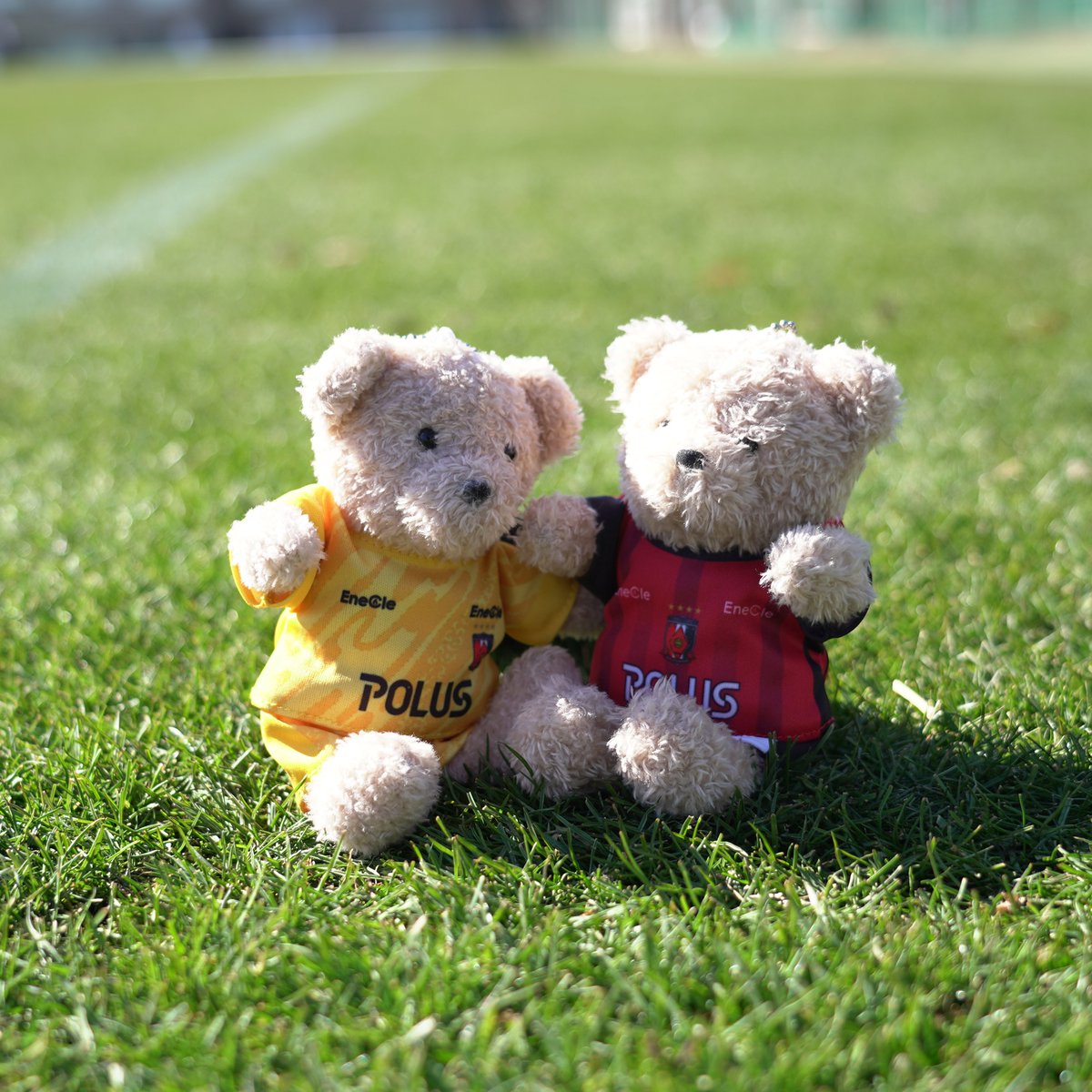 🇾🇪 𝗡𝗘𝗪 𝗚𝗢𝗢𝗗𝗦 𝗥𝗘𝗟𝗘𝗔𝗦𝗘 🇾🇪 🔴ミニ折りたたみ