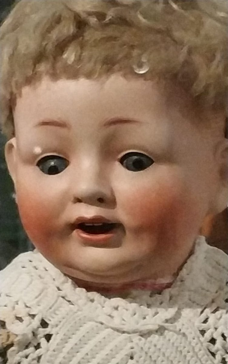 Paola tweet media