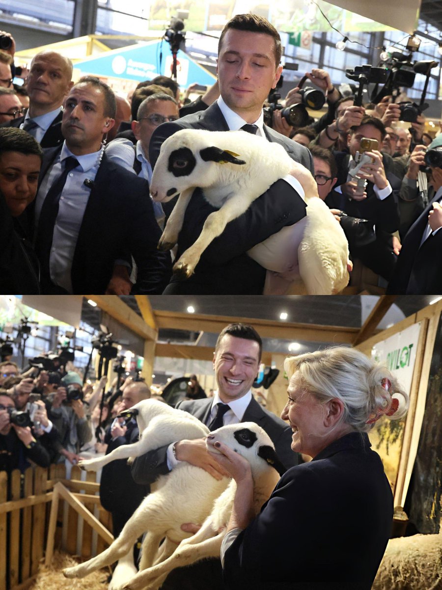 Bardella pics🇫🇷 tweet media