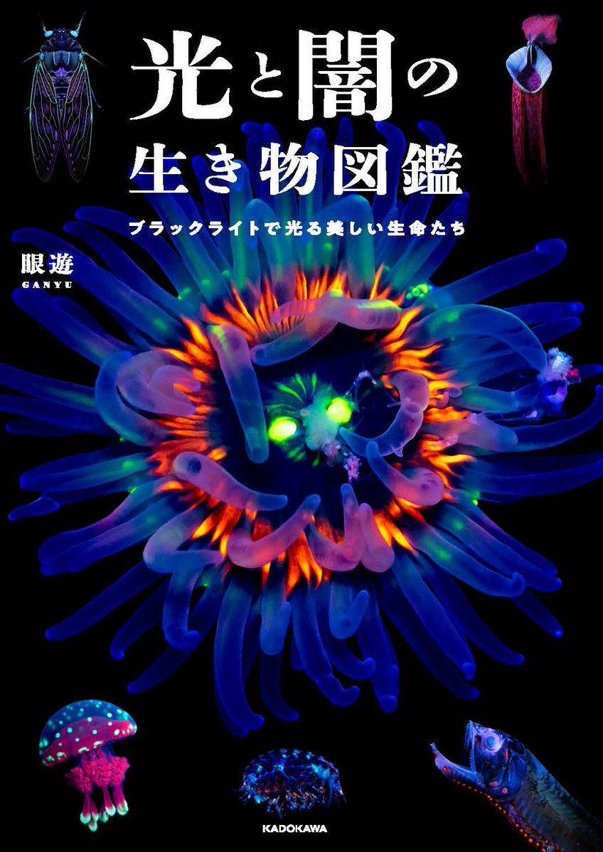 眼遊 GANYU tweet media