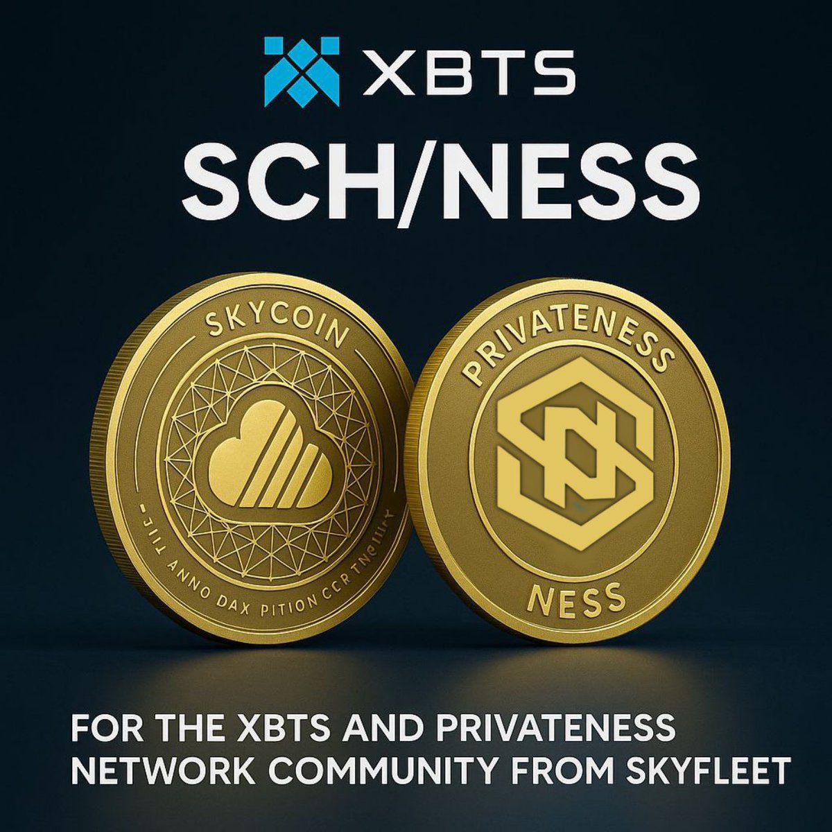 PrivateNess Network tweet media