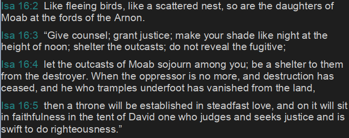 <a href="/JohnPiper/">John Piper</a> Let's have our shade extend over the strangers of an enemy nation as shade at the height of noon, not revealing them to authorities- let them remain among us, even until the persecution is past.. 

That isn't just me saying that, it's scripture.
