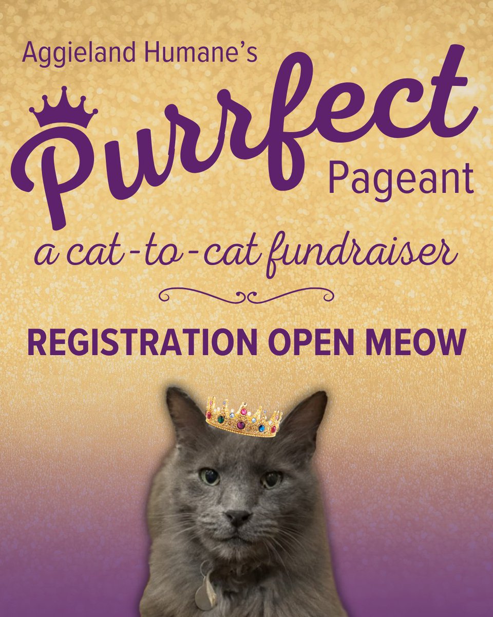 Aggieland Humane Society tweet media