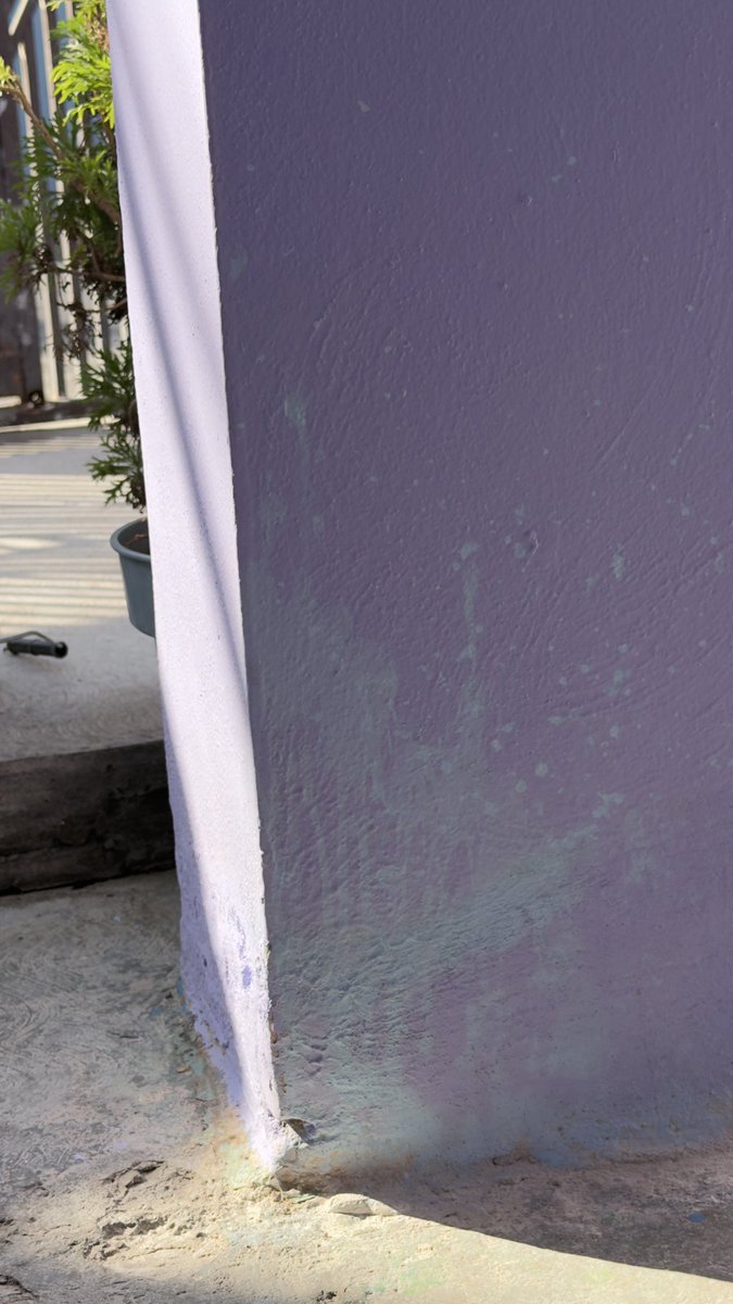 Javier_zunigac's tweet photo. Por más de 30 años que tengo uso de razón hemos comprado pinturas Comex y duran años, en esta ocasión que mala calidad del producto, todas mis paredes del patio que pintamos en diciembre llevan menos de dos meses y ya está decolorada por el lavado del patio @PinturasComex https://t.co/Txd8mlypO3