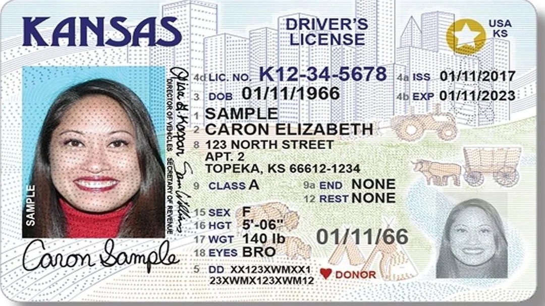 The entire trans argument rests on the cornerstone that “Sex is different from gender.” 

Driver’s licenses specifically require your sex to be listed, not your gender. 

If you are putting something under “sex” that is not your sex, you are falsifying documents. End of story.