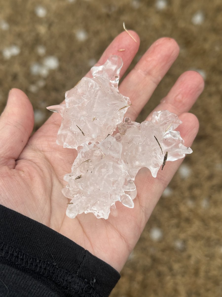 No Comprendo tweet media