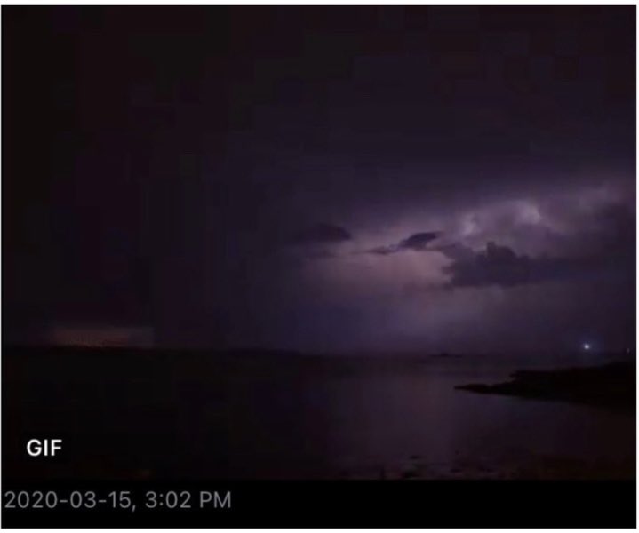 CooperDogDad tweet media