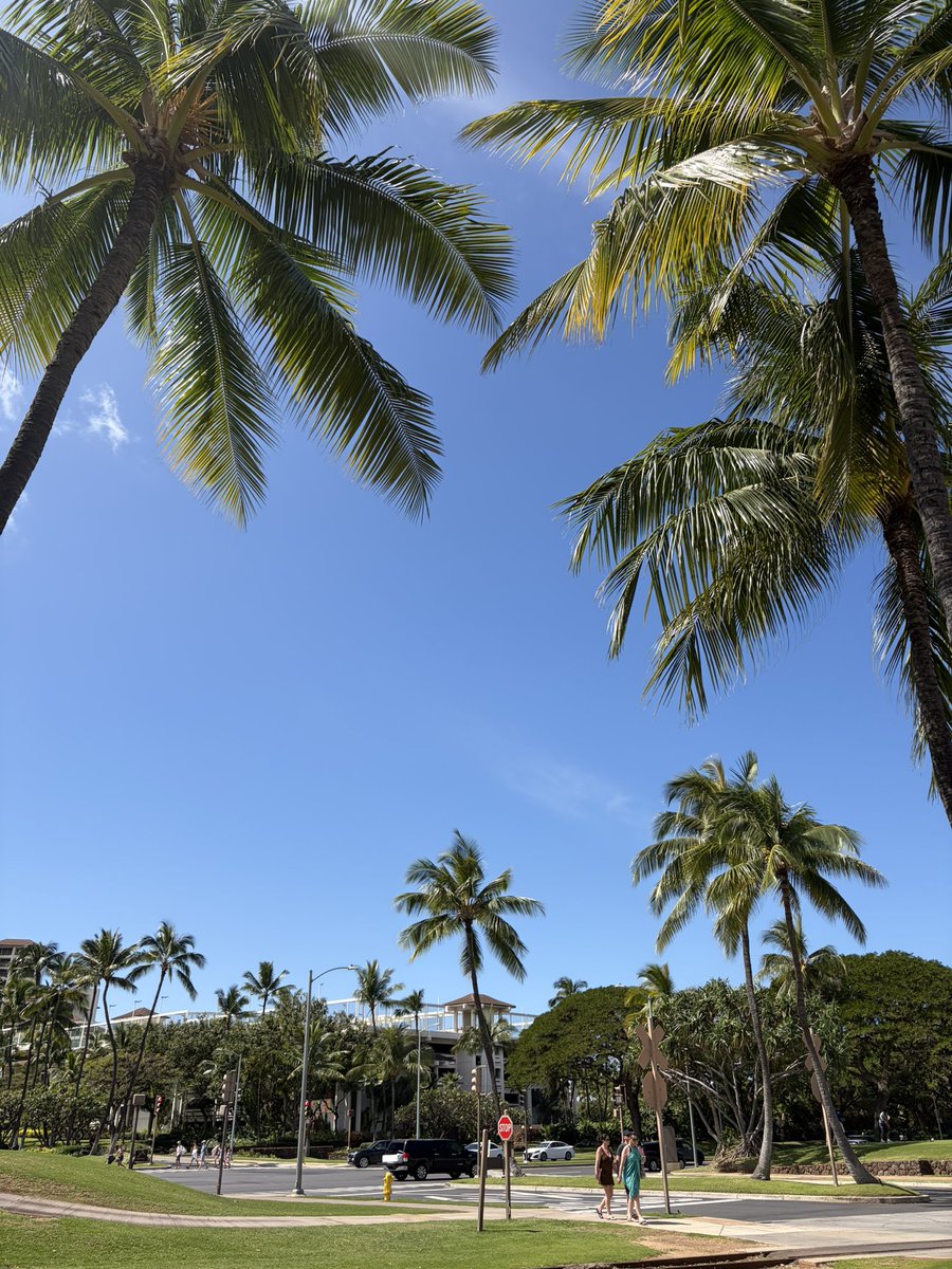 Hawaiine＠ハワイ在住・毎日更新中🇺🇸 (@hawaiine55) / Posts / X