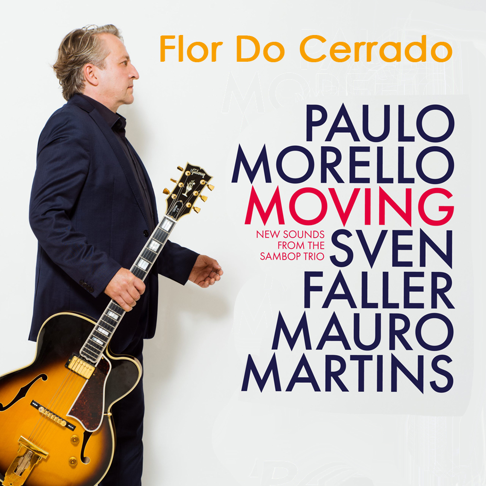 New songs added to Connect Brazil’s streaming station and the Brazilian channels at AccuRadio.com.  Two debut on Brazil Back2Back's ‘New Music Friday’. Listen at Noon, 2 pm, and 6 pm ET

connectbrazil.com/lounge/
#brazilianjazz #ConnectBrazil #BrazilBack2Back #bossanova
