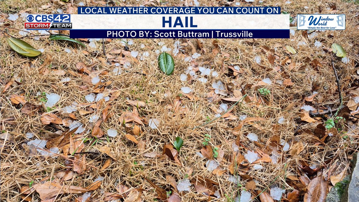 Dave Nussbaum tweet media