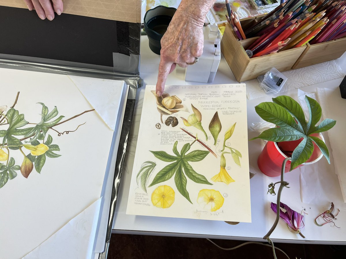 National Tropical Botanical Garden tweet media