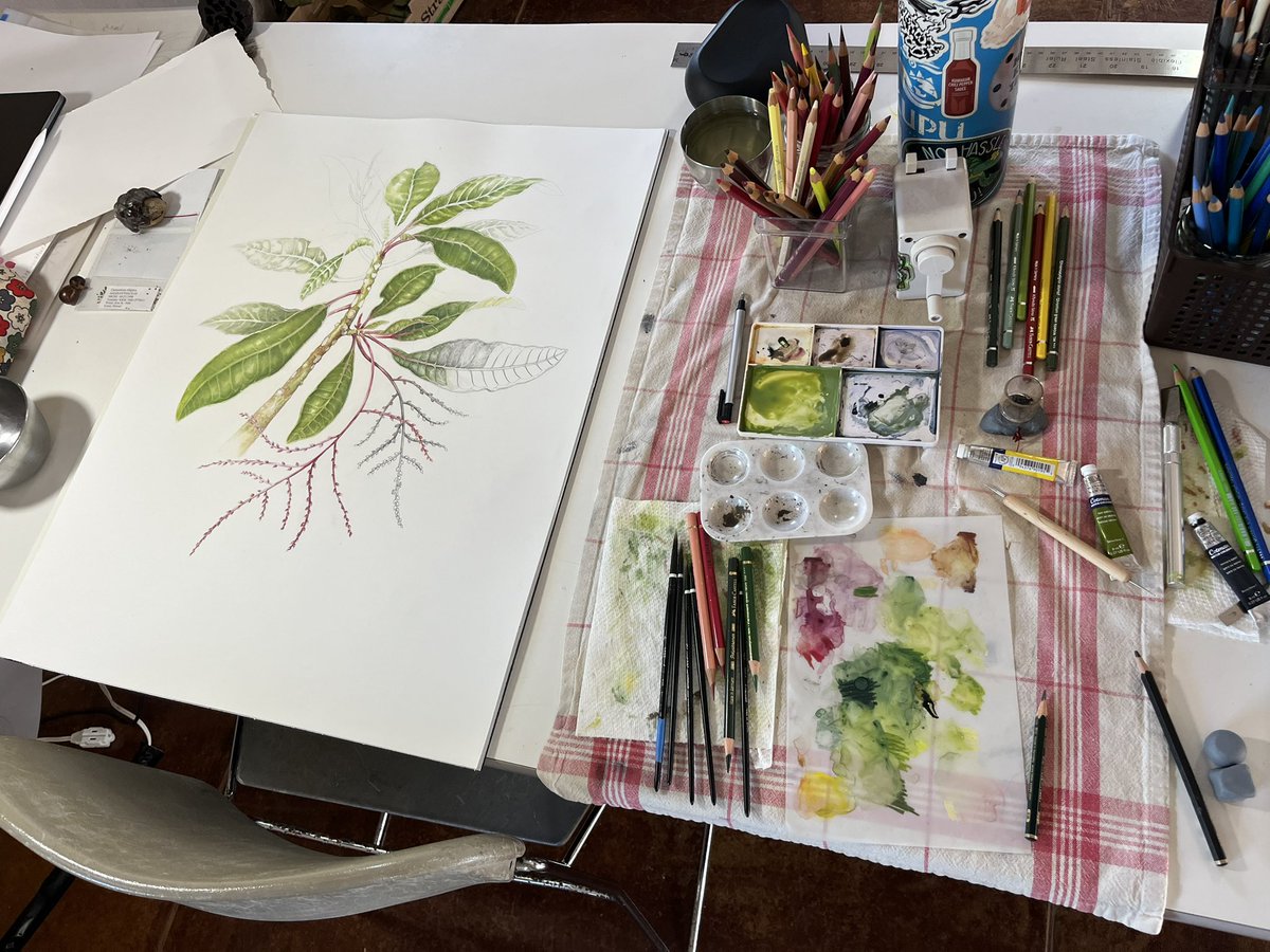 National Tropical Botanical Garden tweet media