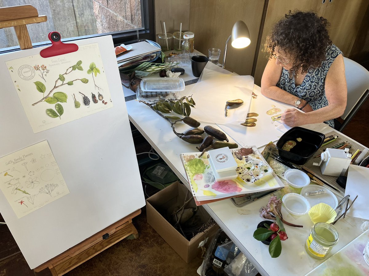 National Tropical Botanical Garden tweet media