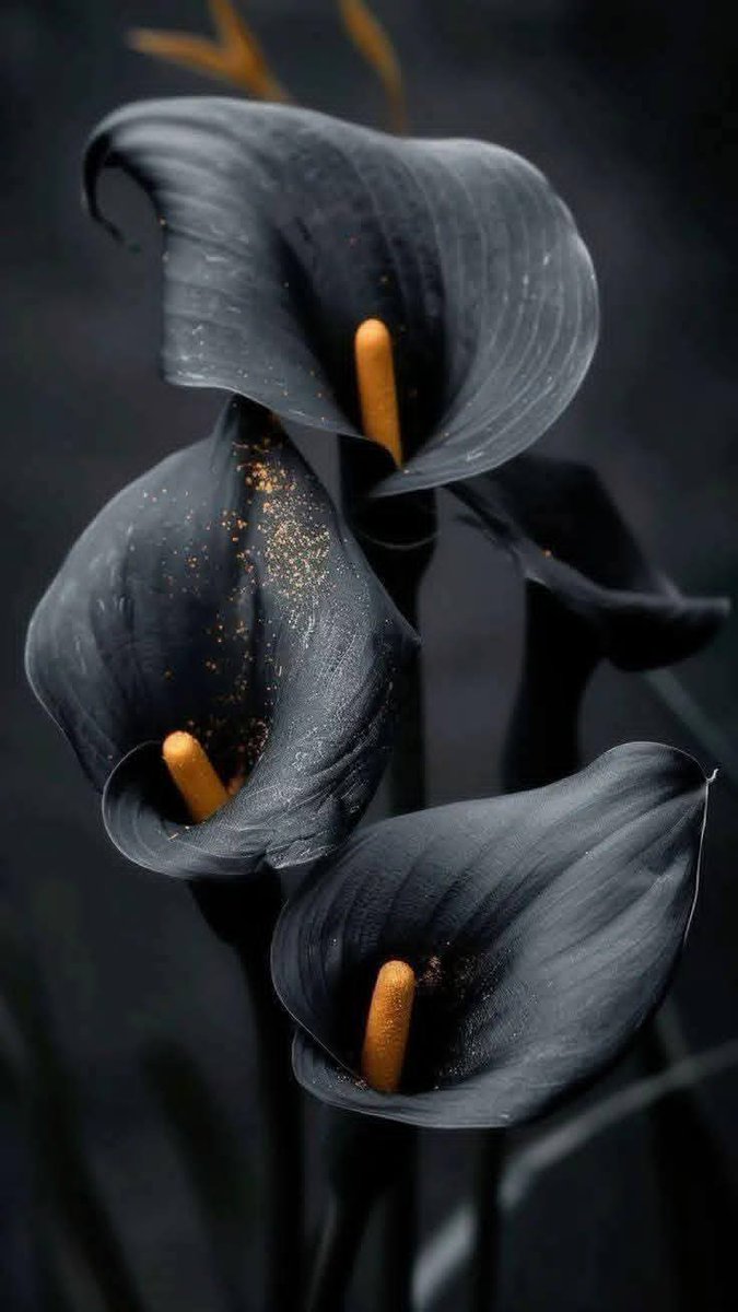 الصادقُ يخسر دائمًا في صراعِ الكلمات،
لأنّه مُقيَّدٌ بالحقيقة،
بينما الكاذبُ يستطيع أن يقول أيَّ شيء."...