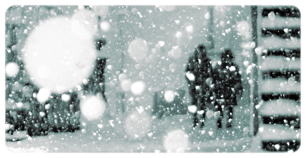 TalIuIah's tweet photo. a few more photos.
#photographer #winter #photo https://t.co/aesCrIrQse