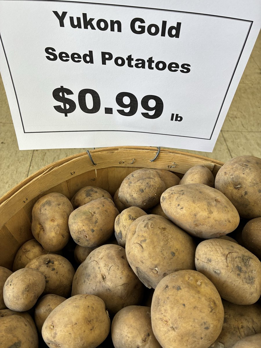 Cottin's Hardware tweet media