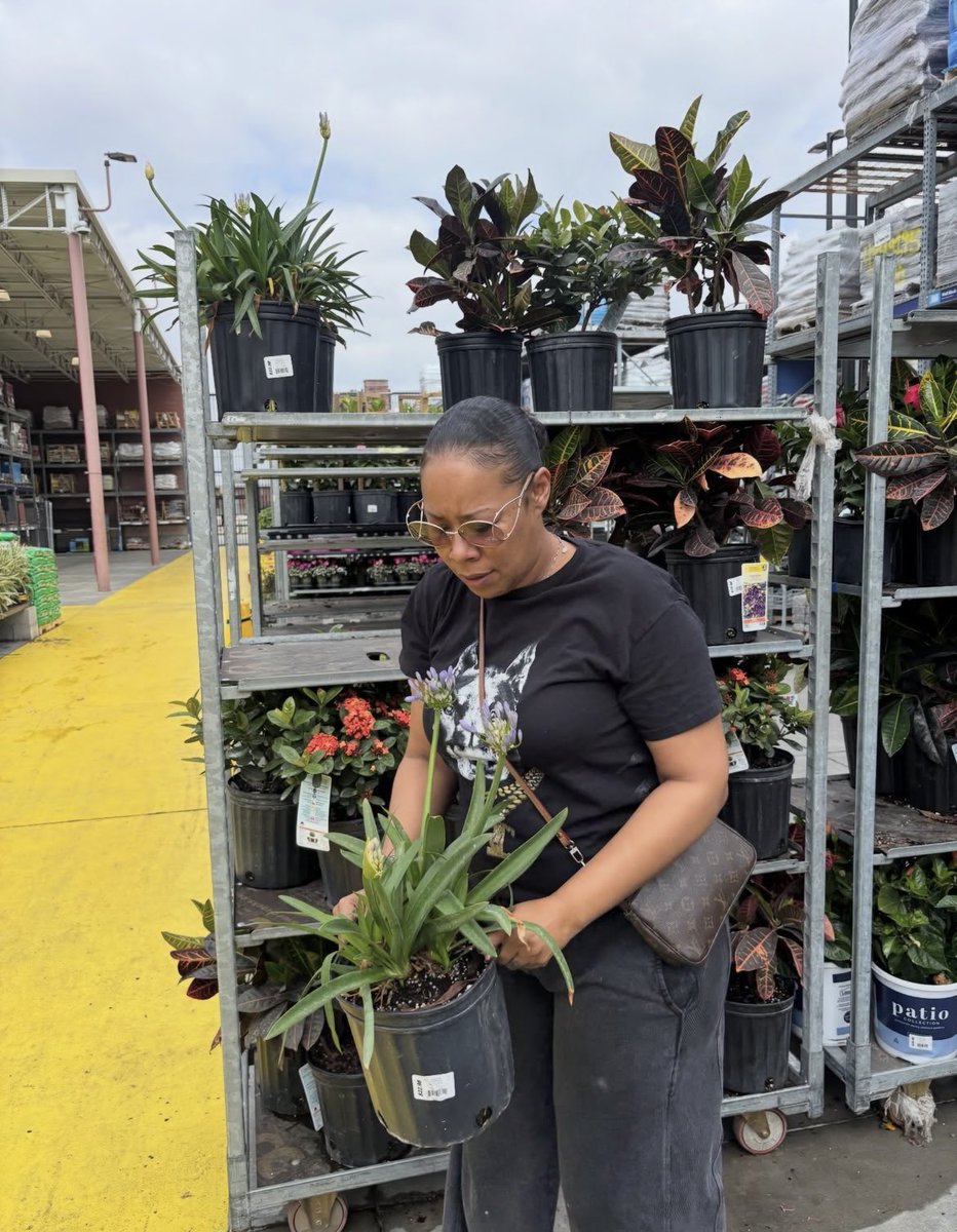 Got me a new plant 🌱 baby 🥰🥰 it’s that time of the year and spring is around the corner 💕☺️