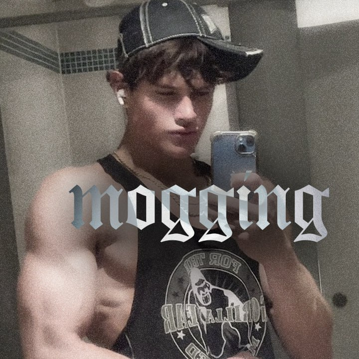 Mog (@MoggingOnSol) / Posts / X