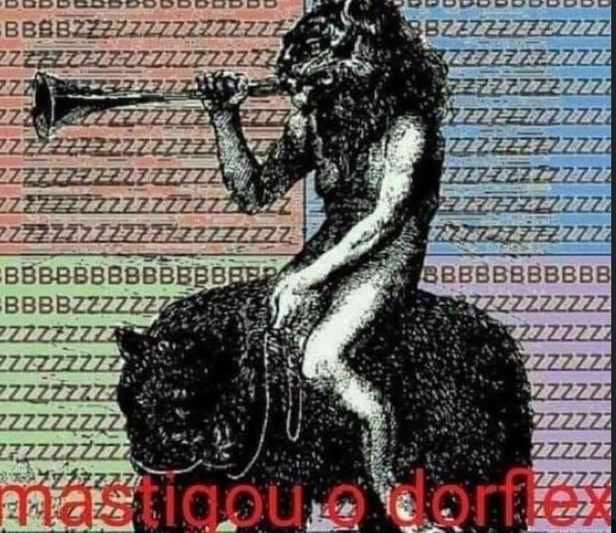 Shitpost só que de verdade tweet media