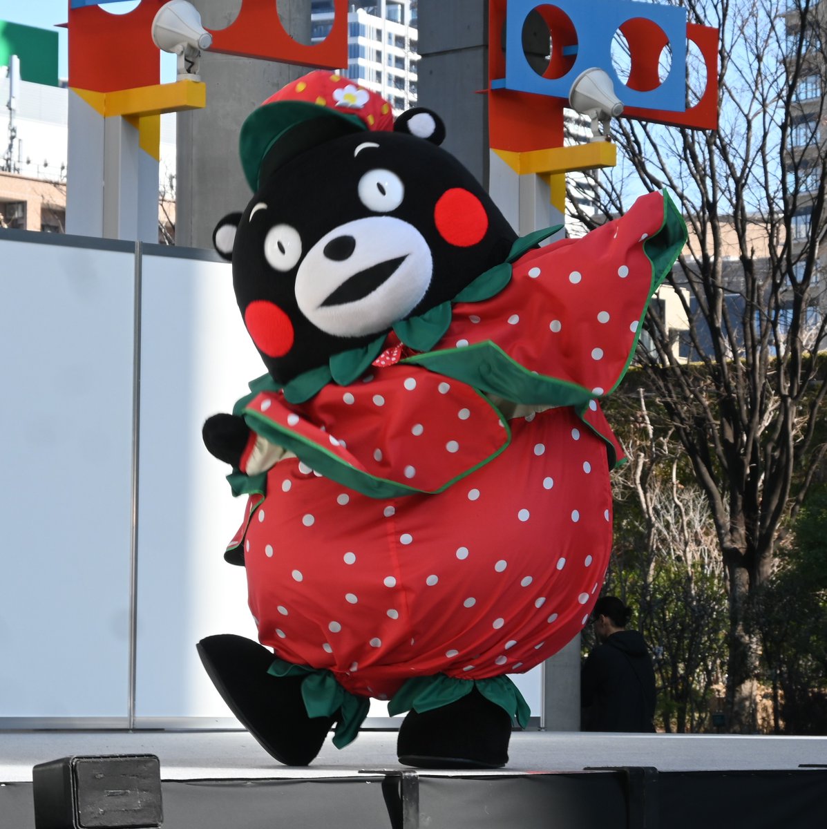 Post by Masashi Taniguchi on X: おはくまです。