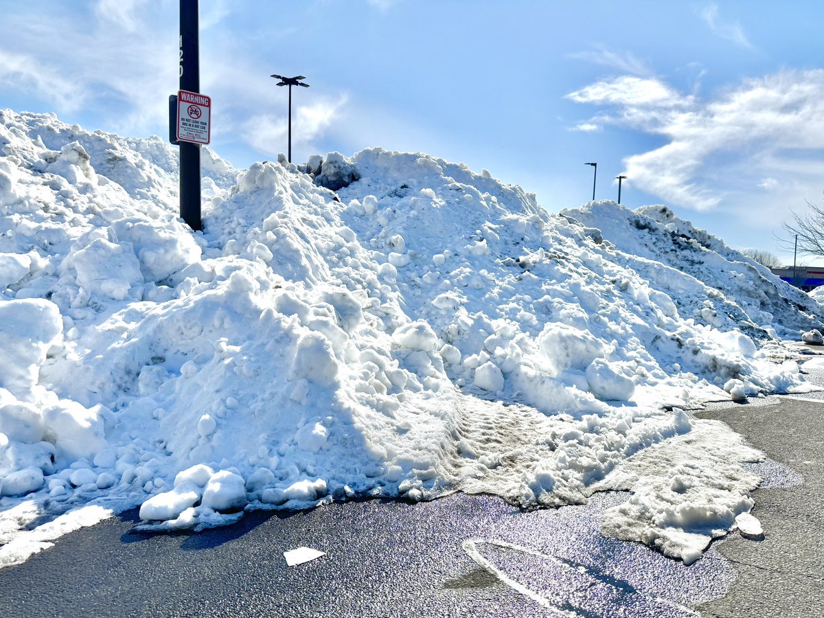 Tucker Antico tweet media