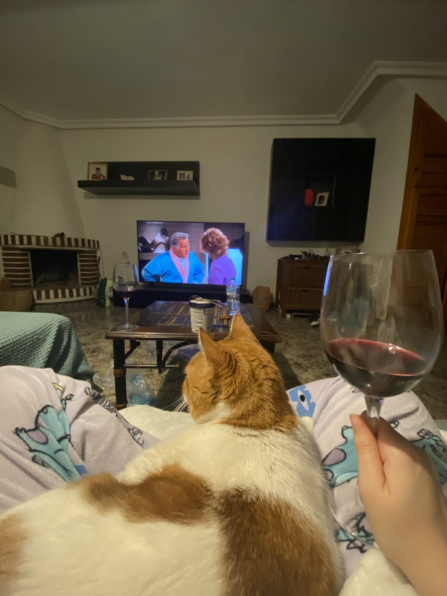 Bebiendo vino con el gato encima mientras veo dos hombres y medio. Soy un hombre heterobásico?