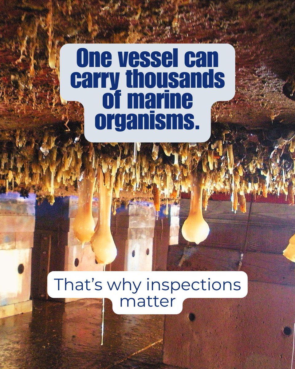 CA State Lands tweet media