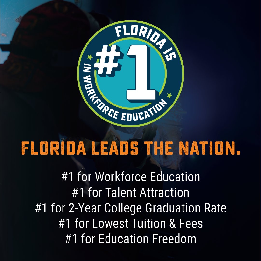 Lively Tech tweet media