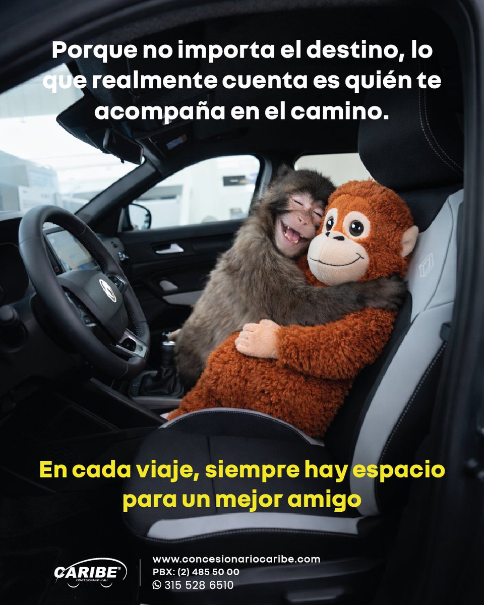 CaribeRenault's tweet image. No importa el destino, lo que realmente importa es quién viaja a tu lado.
🐵🧡 Un abrazo que nos recuerda que la verdadera magia del camino está en la compañía y en esos pequeños momentos que llenan el alma.

#RenaultCali #Caliescali #Calive #amigos #amor