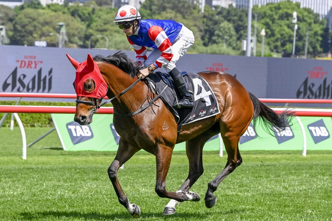 Racing NSW tweet media