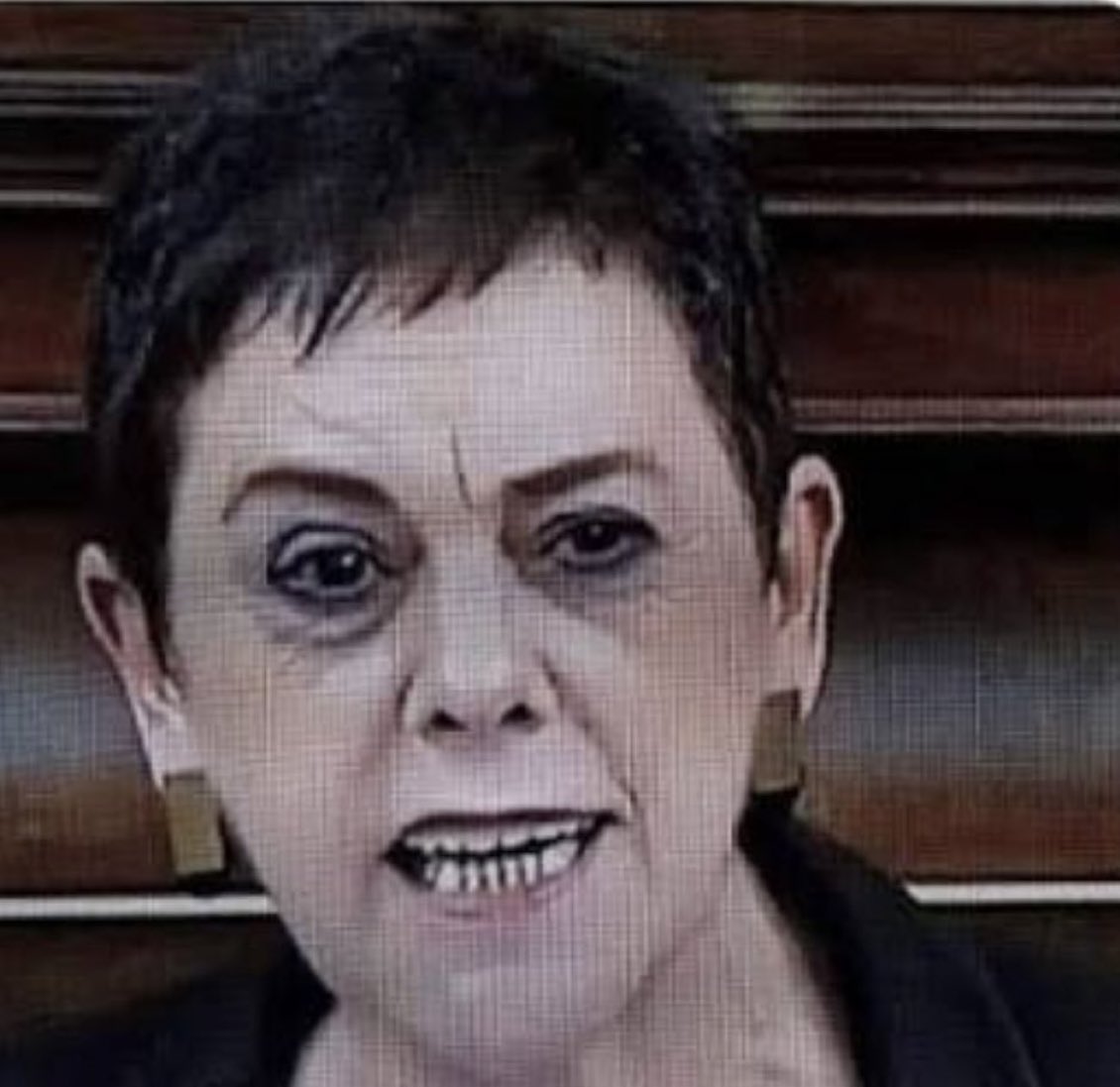 Una sociedad que admite, consiente y normaliza que esta hija de satanás dé lecciones de democracia y moral, ya no es que sea una sociedad enferma. Es que es una sociedad de mierda…
#Horizonte