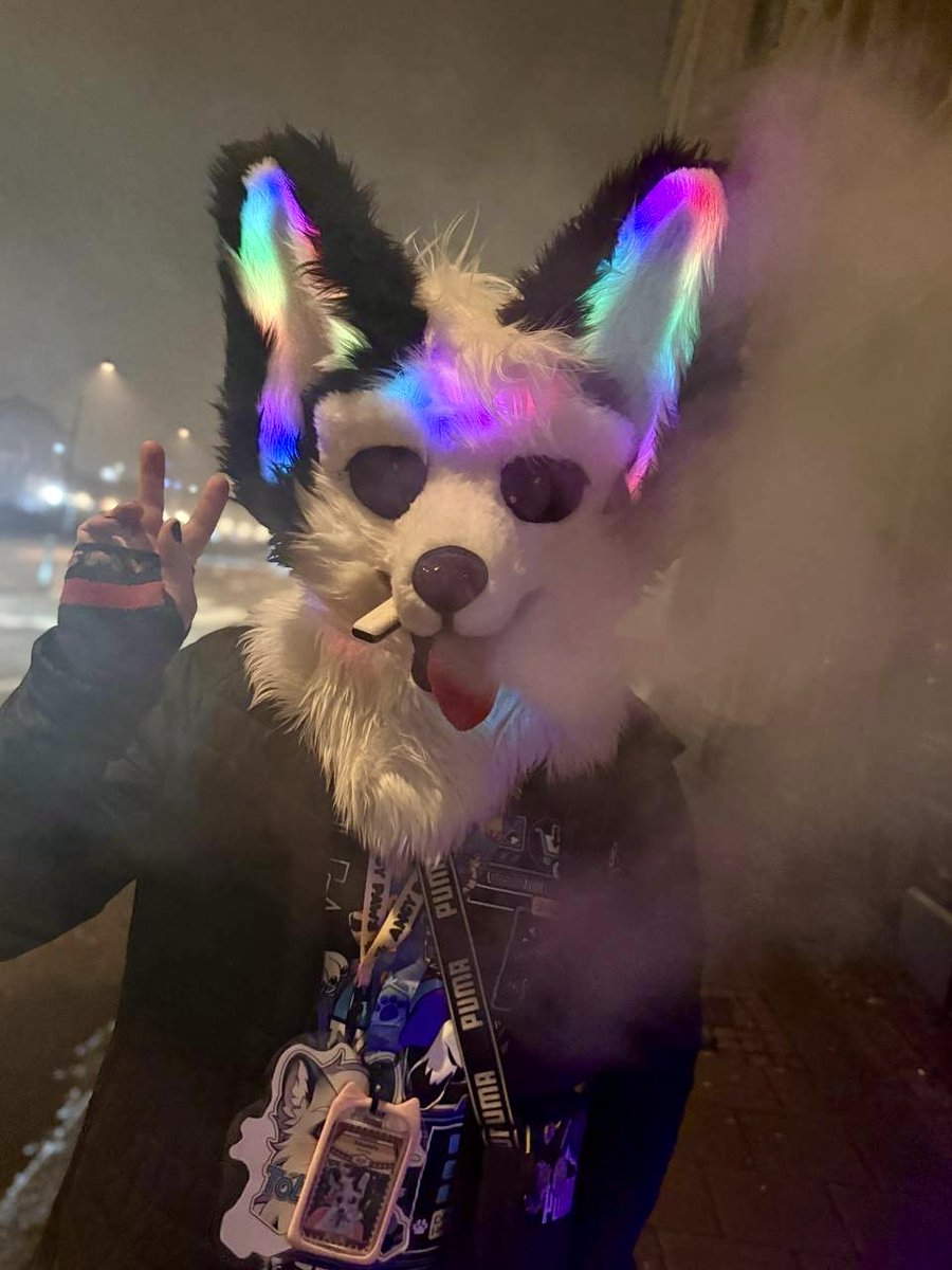 Tobemello tweet media