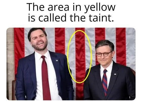 "Perineum" if you're fancy