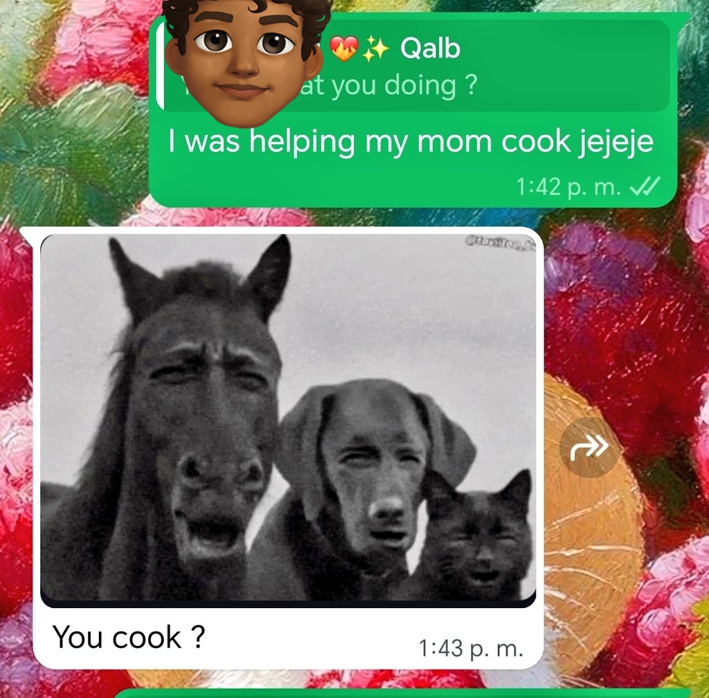 María José tweet media