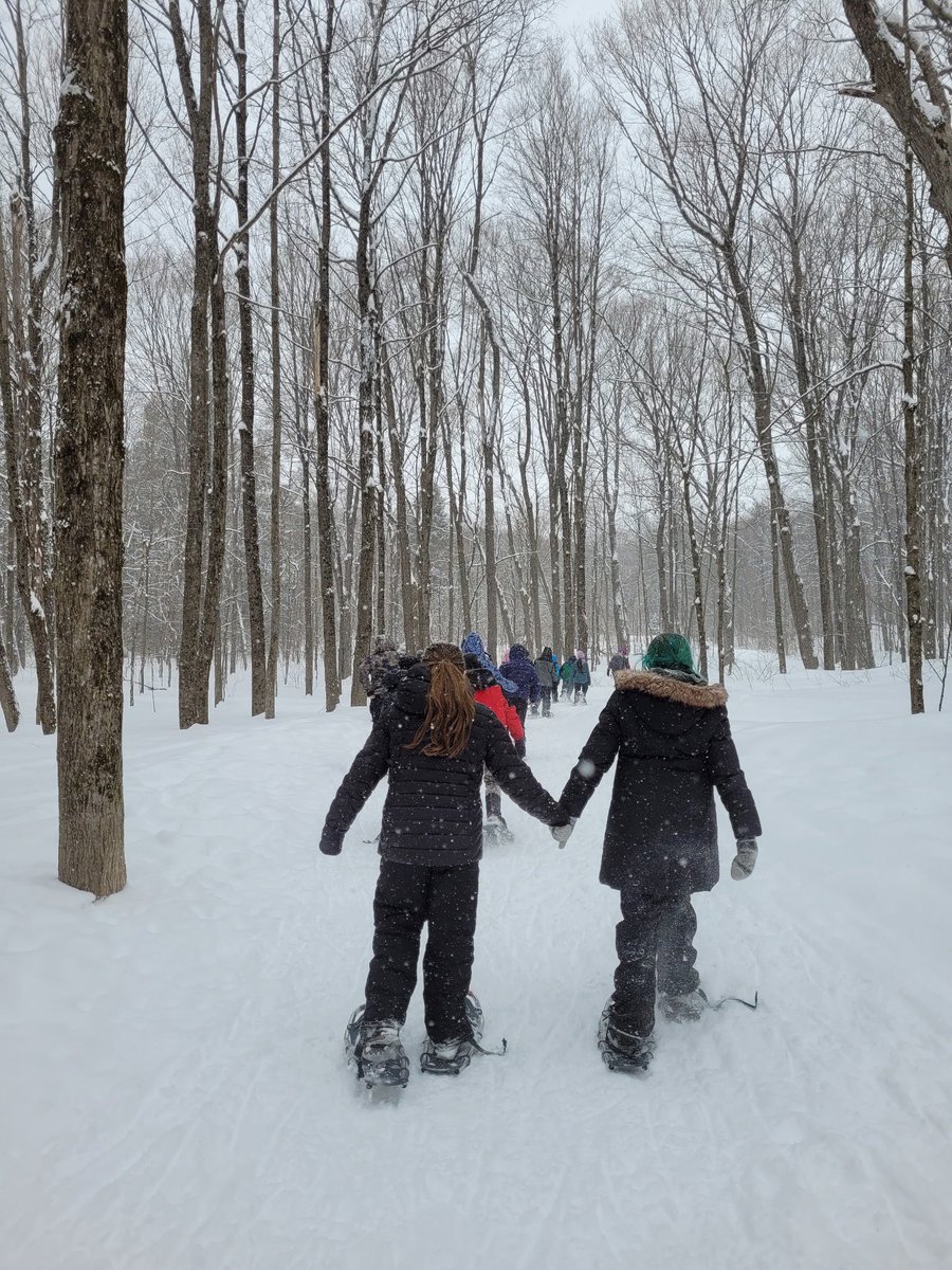 Mr. Cook tweet media