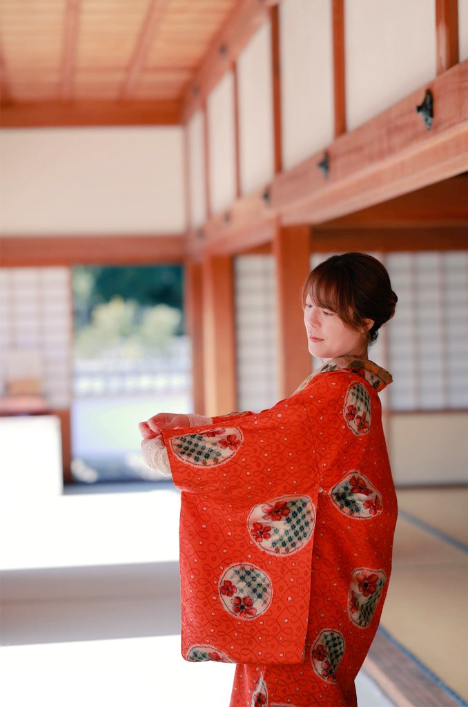 Serene Elegance 〜 みずさん@__s2mizs2__ #アンティーク着物 #銘仙 R6