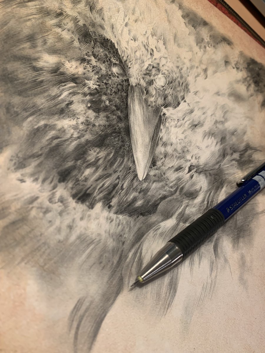 QuashComics's tweet photo. Pencil piece in progress! https://t.co/6Z0E4VyVdf